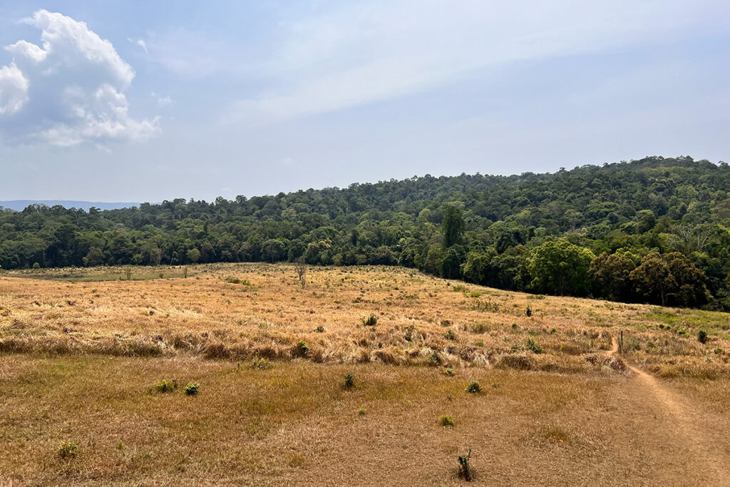 le parc de khao yai